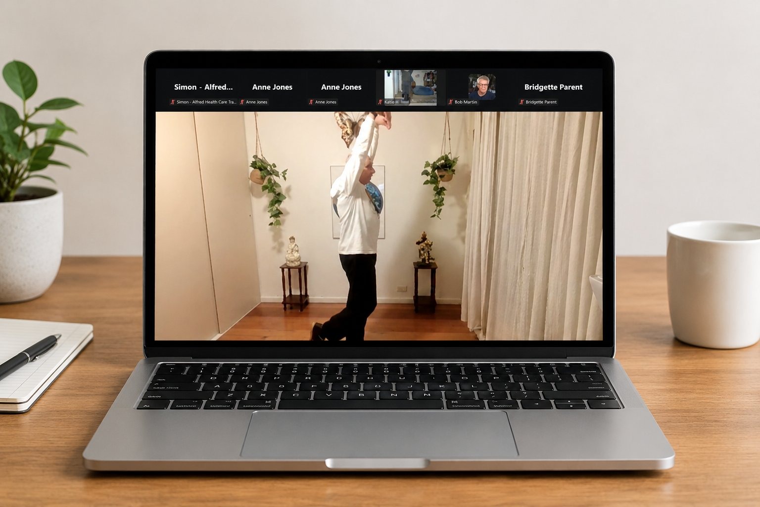Online Zoom Tai Chi class